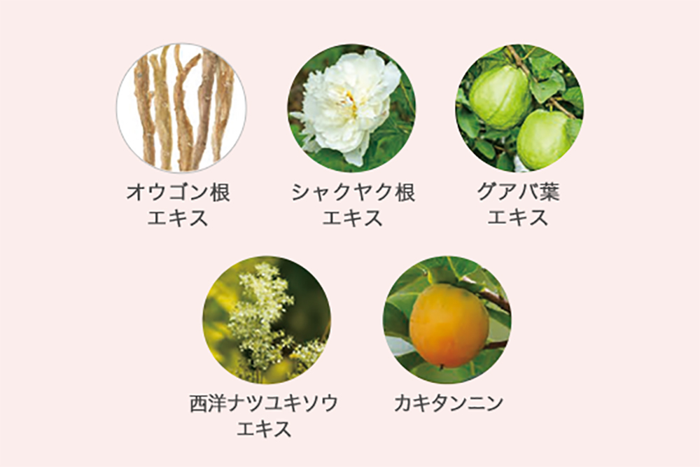 LPS含有量が多い食材