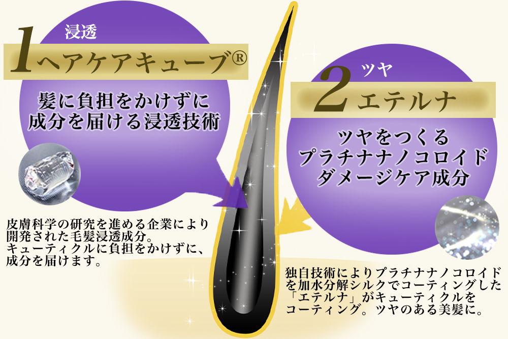 LPS含有量が多い食材