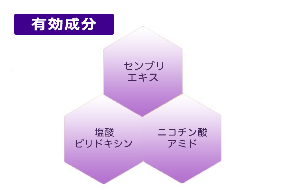 白黒熊さま　花蘭咲３個セット