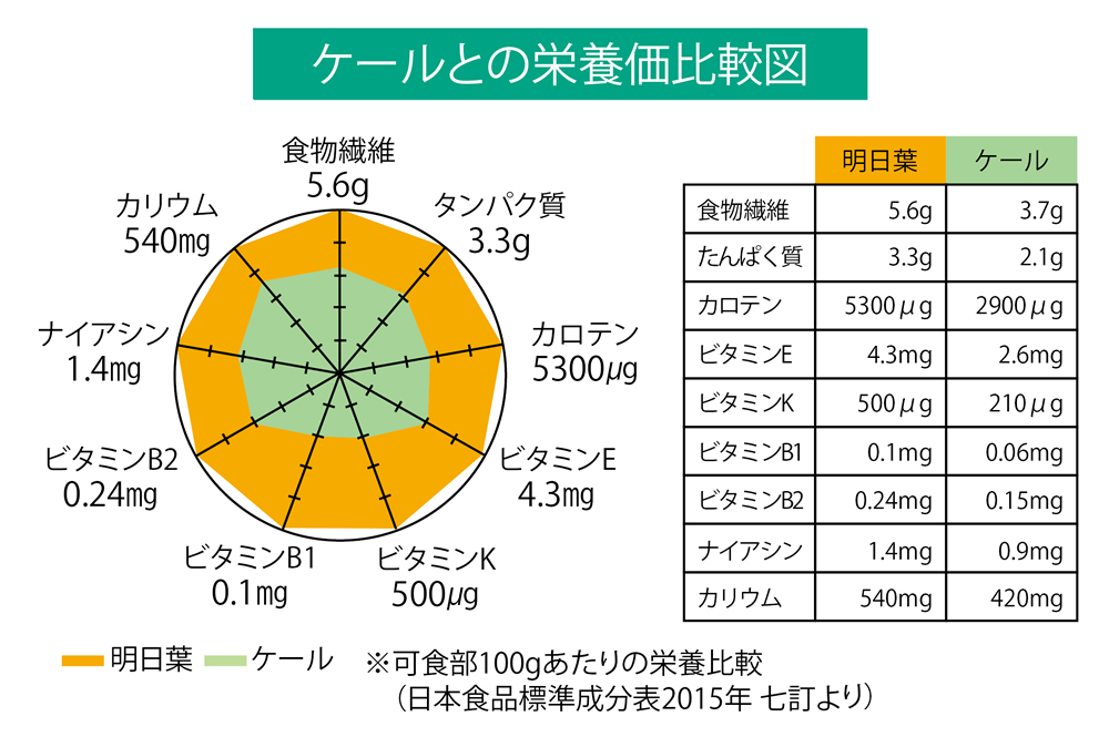 マイケア ふるさと青汁 90g✖️3箱