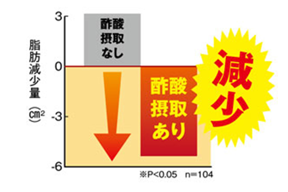 酵素を目覚めさせて脂肪減少