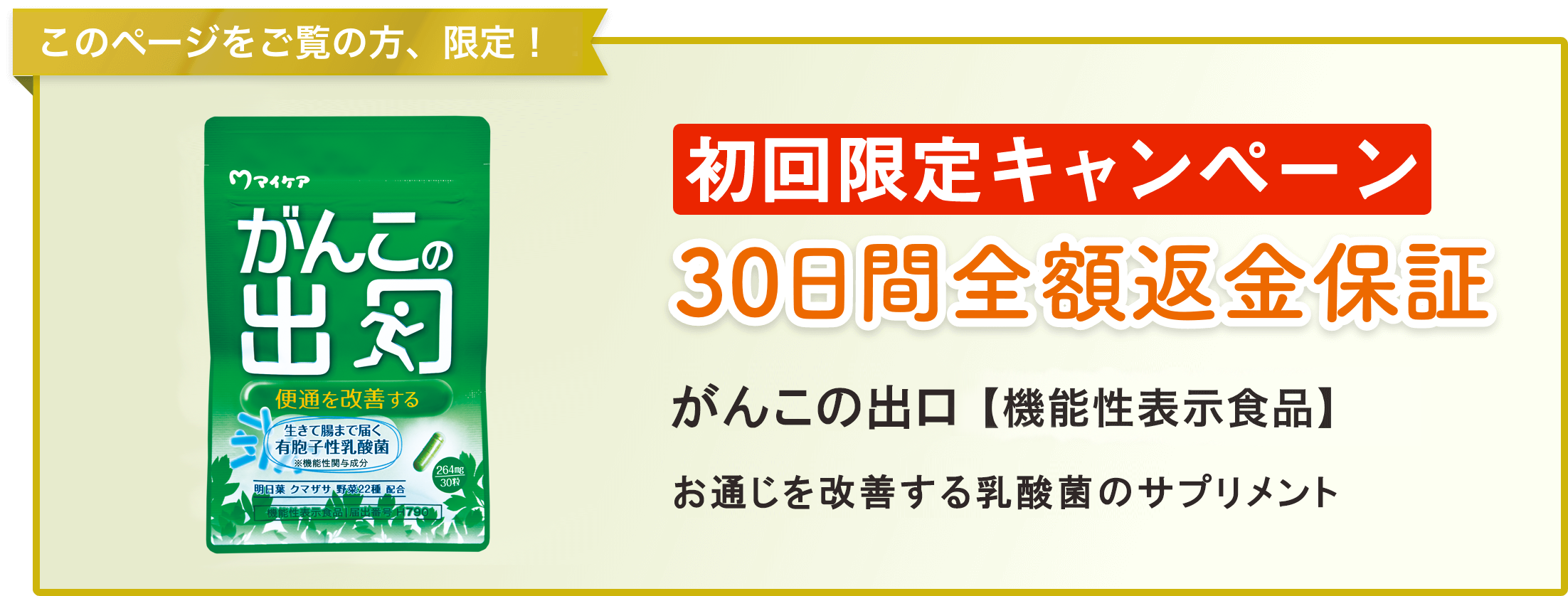 初回限定キャンペーン