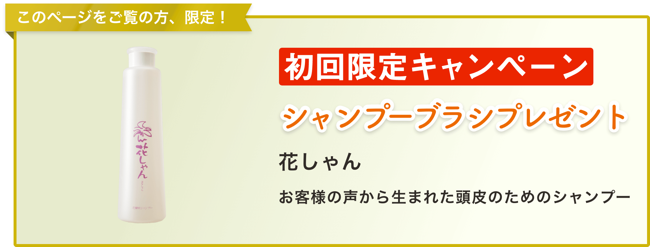 初回限定キャンペーン