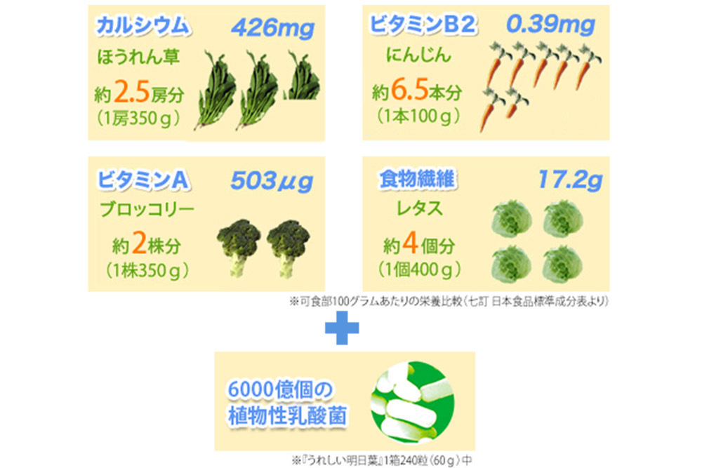 『うれしい明日葉』１袋で摂れる栄養素