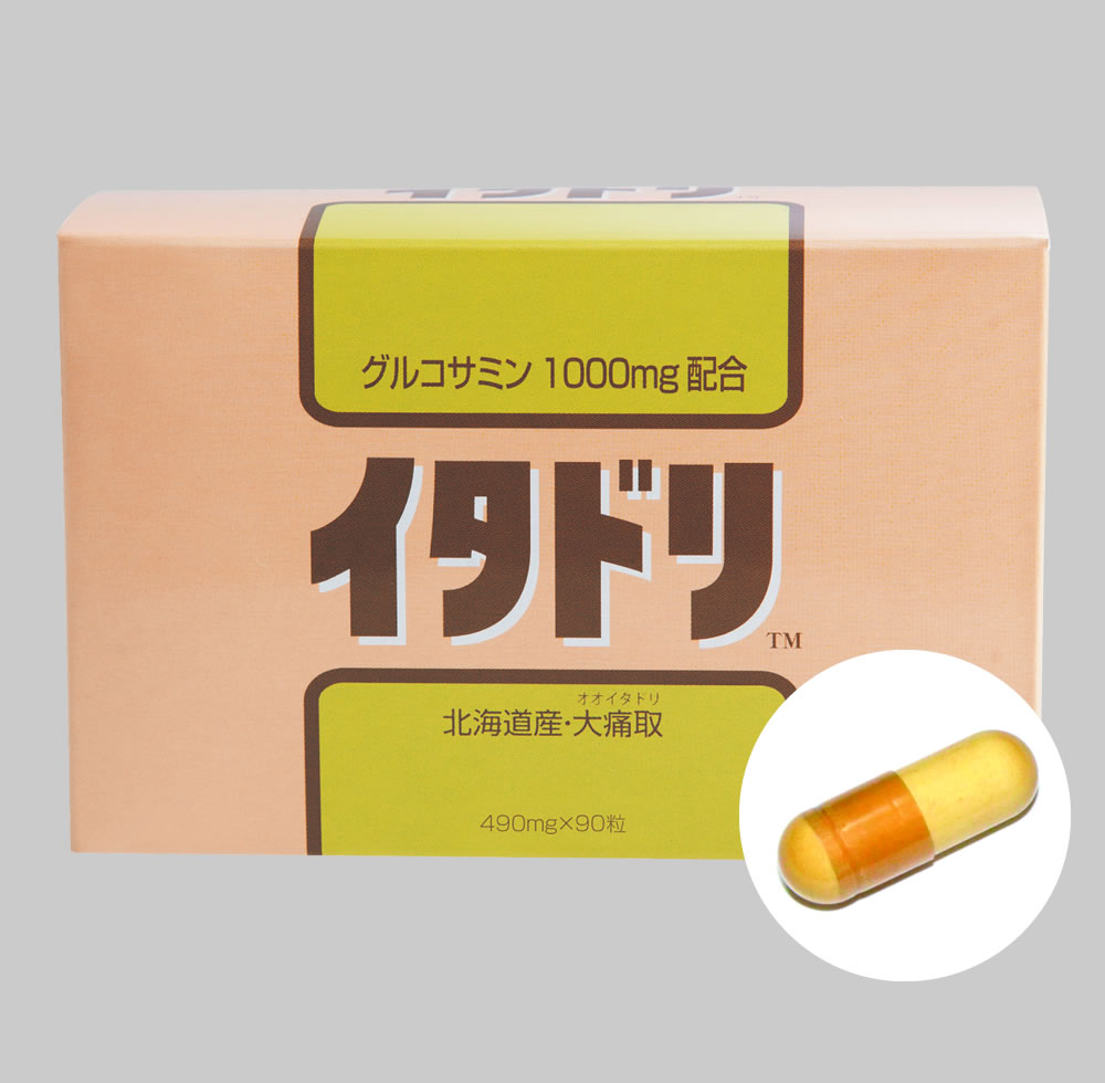 定番のお歳暮 新潟県産 イタドリ 約600g ad-naturam.fr