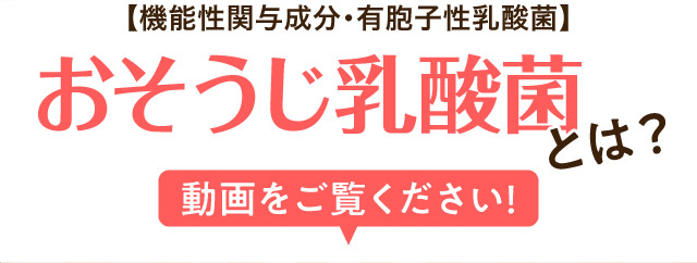 お掃除乳酸菌とは？