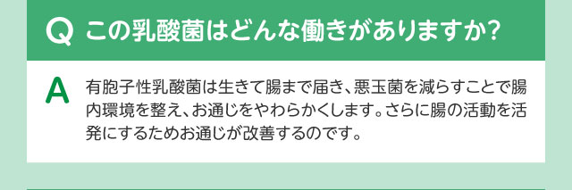 Qこの乳酸菌はどんな働きがありますか？