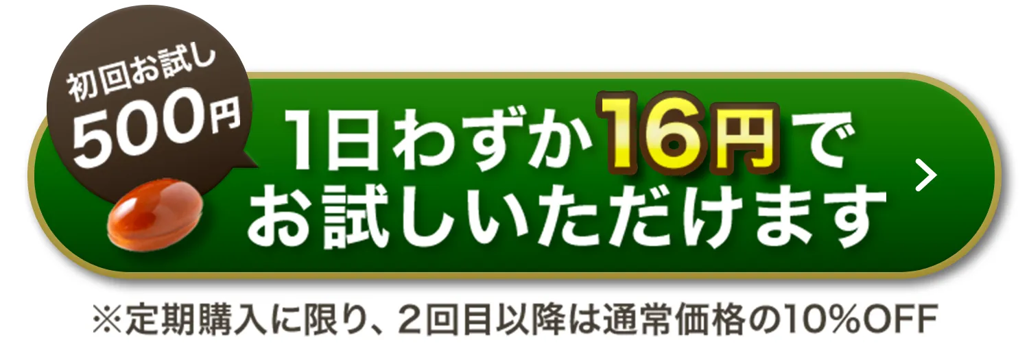 初回お試し500円1日わずか16円でお試しいただけます
