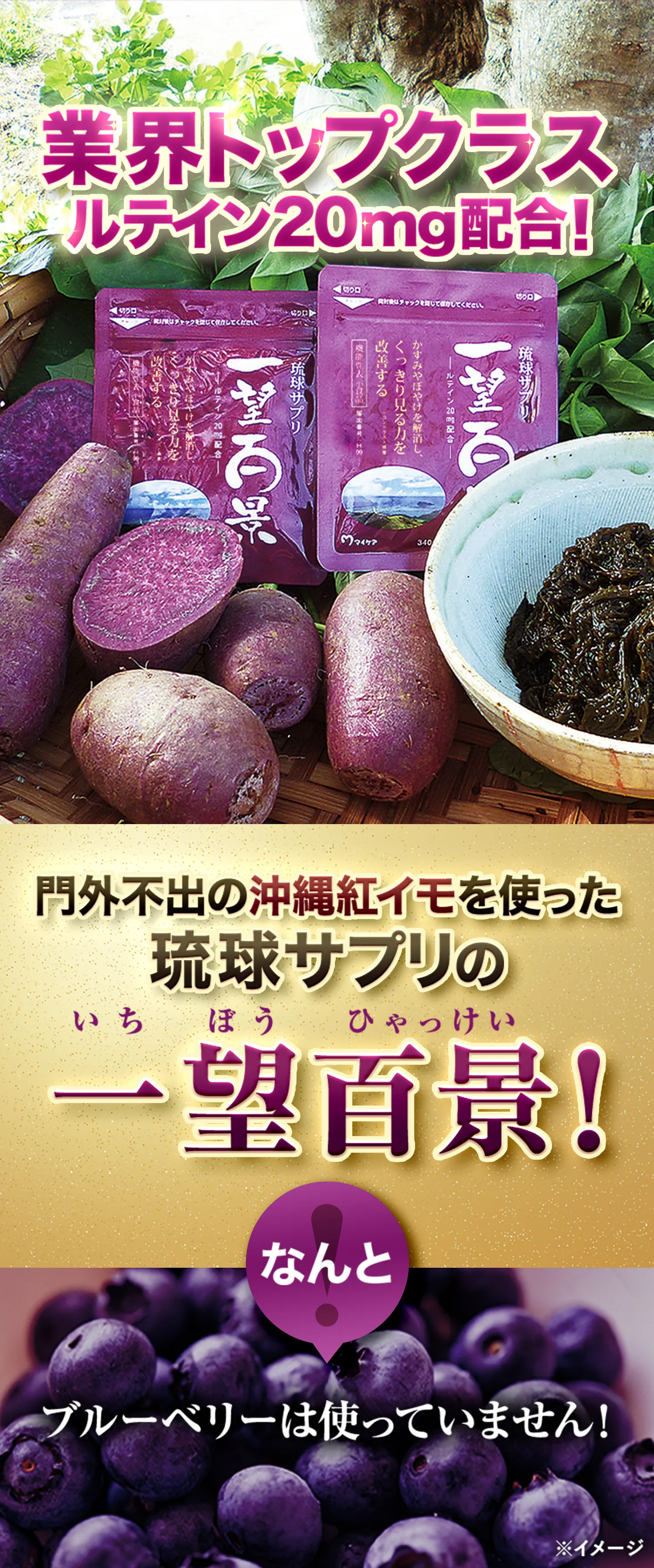 業界トップクラスルテイン20mg配合！門外不出の沖縄紅イモを使った琉球サプリの一望百景！なんとブルーベリーは使っていません！