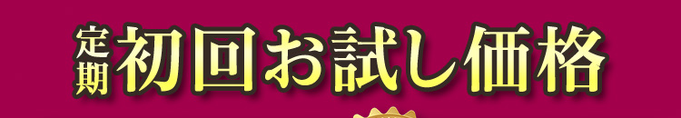 定期初回お試し価格