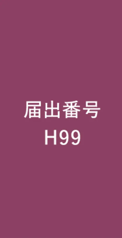 届出番号 H99