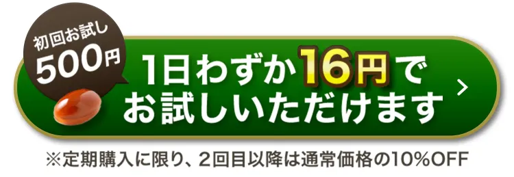初回お試し500円1日わずか16円でお試しいただけます