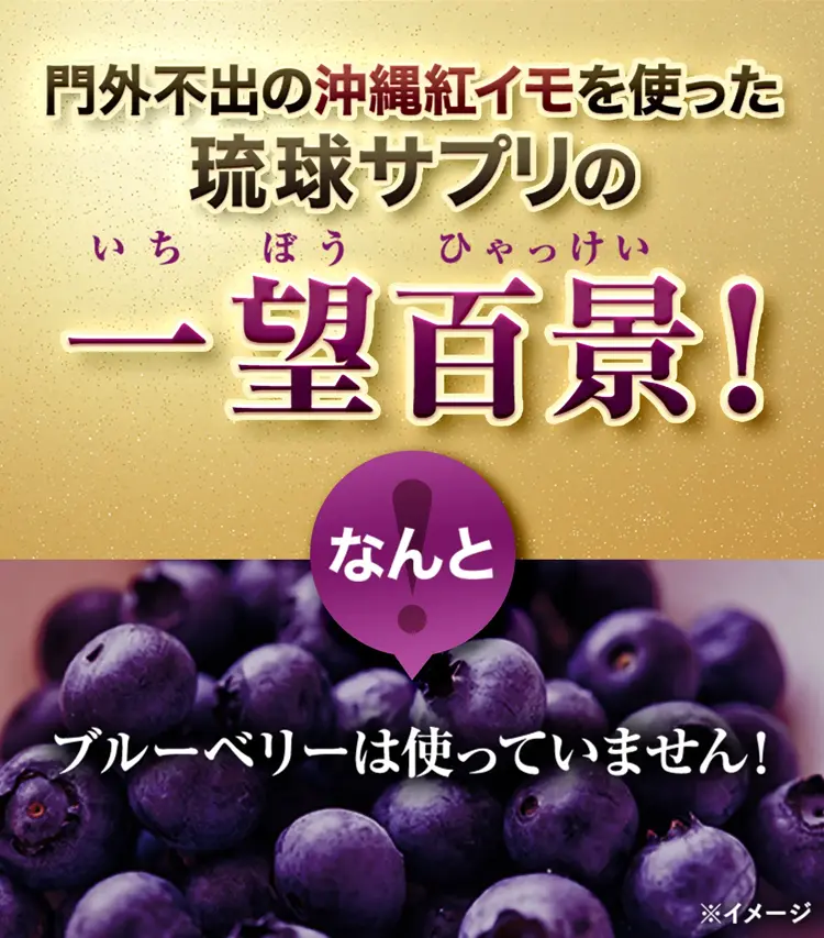 門外不出の沖縄紅イモを使った琉球サプリの一望百景！なんとブルーベリーは使っていません！
