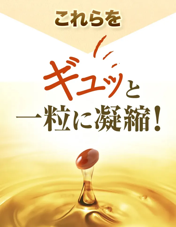 これらをギュッと一粒に凝縮！