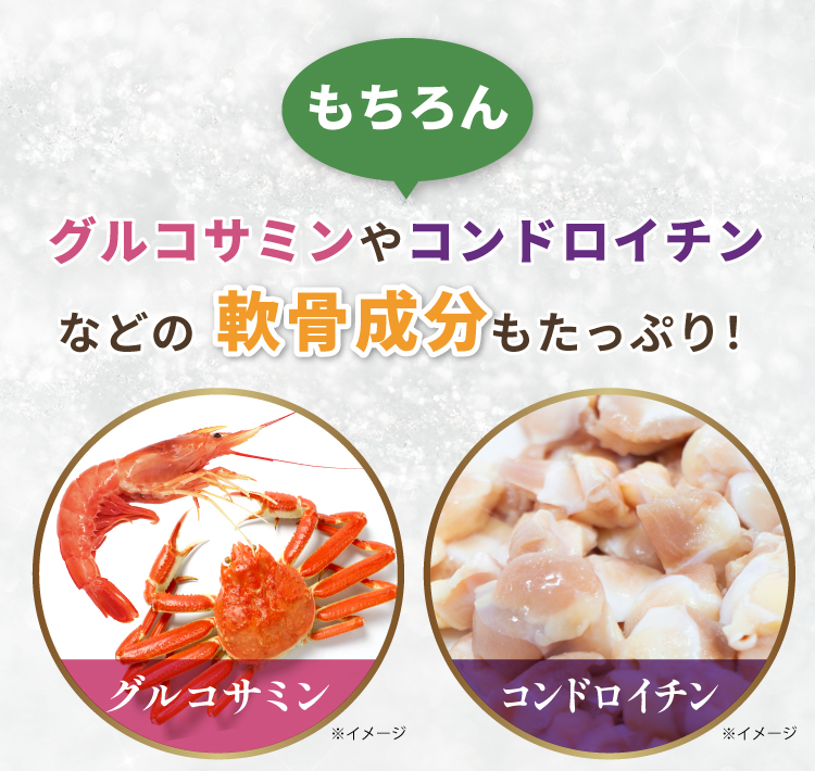 もちろんグルコサミンやコンドロイチンなどの軟骨成分もたっぷり！