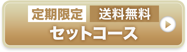 定期限定セットコース 送料無料