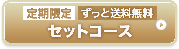 定期限定セットコース 送料無料