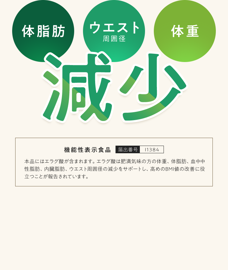 体脂肪・ウエスト・体重 減少