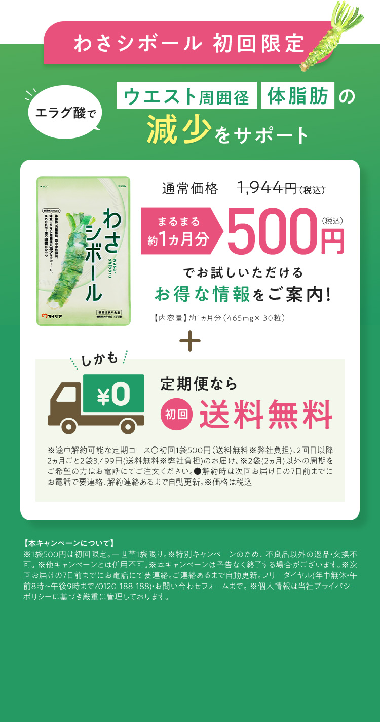 わさシボール 初回限定