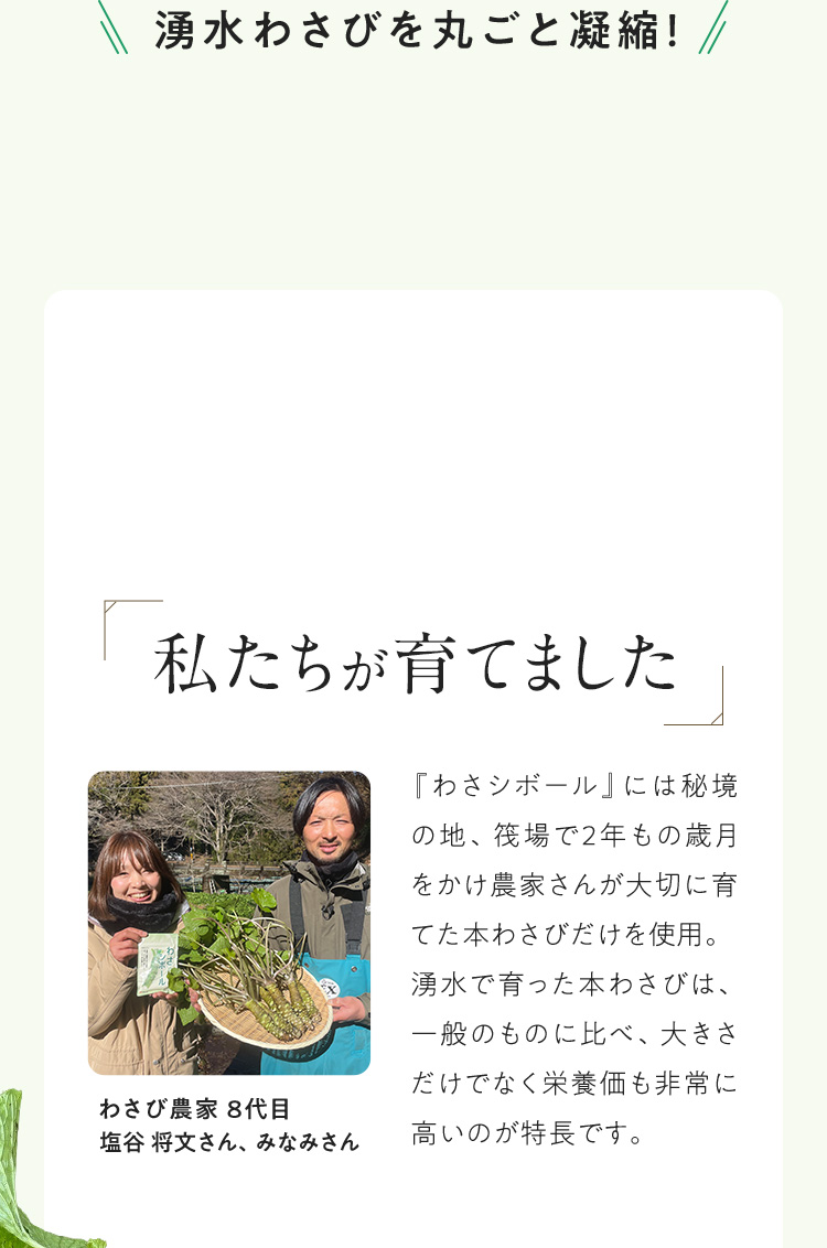 湧水わさびを丸ごと凝縮！