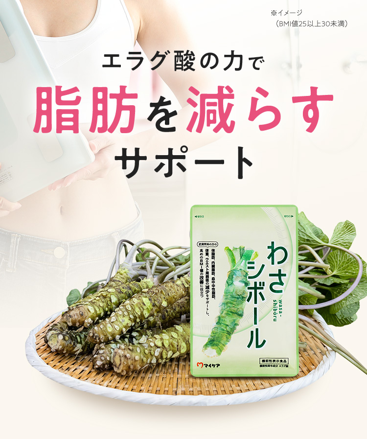 エラグ酸の力で脂肪を減らすサポート