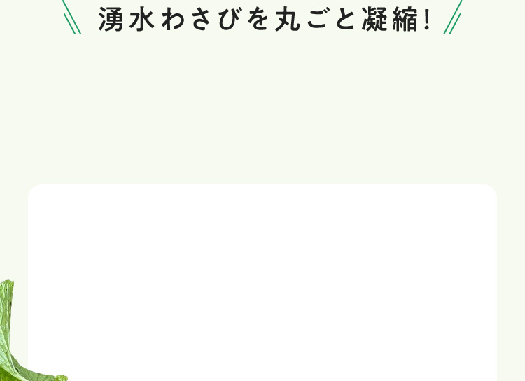 湧水わさびを丸ごと凝縮！