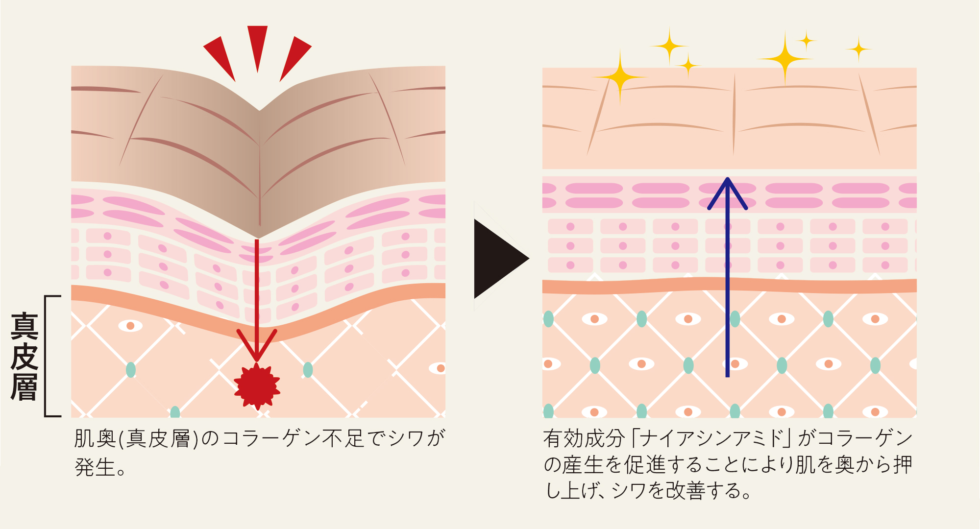 ファンデーションを塗っている間にシワ改善