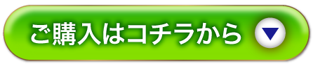 通常購入はこちらから