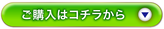 通常購入はこちらから