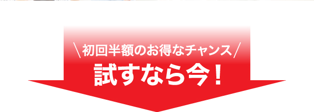 試すなら今！