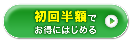 試してみる